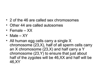 • 2 of the 46 are called sex chromosomes
• Other 44 are called autosomes
• Female – XX
• Male – XY
• All human egg cells carry a single X
chromosome (23,X), half of all sperm cells carry
an X chromosome (23,X) and half carry a Y
chromosome (23,Y) to ensure that just about
half of the zygotes will be 46,XX and half will be
46,XY
 