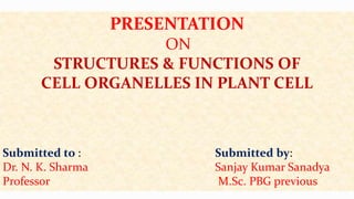 PRESENTATION
ON
STRUCTURES & FUNCTIONS OF
CELL ORGANELLES IN PLANT CELL
Submitted to : Submitted by:
Dr. N. K. Sharma Sanjay Kumar Sanadya
Professor M.Sc. PBG previous
 