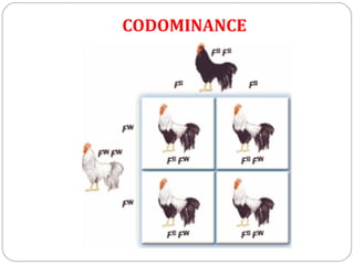 Genetics | PPT