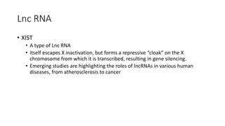 Lnc RNA
• XIST
• A type of Lnc RNA
• itself escapes X inactivation, but forms a repressive “cloak” on the X
chromosome from which it is transcribed, resulting in gene silencing.
• Emerging studies are highlighting the roles of lncRNAs in various human
diseases, from atherosclerosis to cancer
 