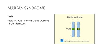 MARFAN SYNDROME
• AD
• MUTATION IN FBN1 GENE CODING
FOR FIBRILLIN
 