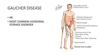 GAUCHER DISEASE
• AR
• MOST COMMON LYSOSOMAL
STORAGE DISORDER
 