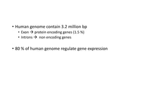 • Human genome contain 3.2 million bp
• Exon  protein encoding genes (1.5 %)
• Introns  non encoding genes
• 80 % of human genome regulate gene expression
 