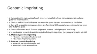 Genomic imprinting
• o Human inherits two copies of each gene, i.e. two alleles, from homologous maternal and
paternal chromosomes.
• o There is no functional difference between the genes derived from mother or the father.
• o But, with respect to some genes, there are functional differences between the paternal gene
and maternal gene.
• o These differences result from an epigenetic process, called genomic imprinting.
• o In most cases, genomic imprinting selectively inactivates either the maternal or paternal allel.
• 1. Maternal genomic imprinting
• • Selective inactivation of maternal allel
• • Example is Angelman syndrome
• 2. Paternal genomic imprinting
• • Selective inactivation ofpatemal allel.
• • Example is Prader-willi syndrome.
 