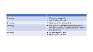 G banding • Most commonly used
• Stains regions rich in AT
Q banding • Pattern is similar to G banding
C banding • Darkly stained C band centromeric region of the
chromosome corresponds to region of constitutive
heterochromatin
R banding • Reverse of geimsa stain
• Stains regions rich in GC
 