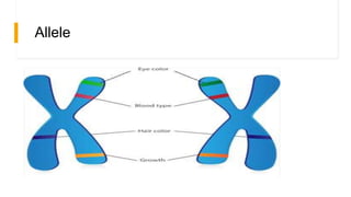 Genetics Tenth | PPTX