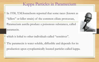Kappa Particles in Paramecium
• In 1938, T.M.Sonneborn reported that some races (known as
“killers” or killer strain) of the common ciliate protozoan,
Paramecium aurelia produce a poisonous substances, called
paramecin.
• which is lethal to other individuals called “sensitives”.
• The paramecin is water soluble, diffusible and depends for its
production upon cytoplasmically located particles called kappa.
 