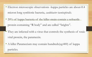 • Electron microscopic observations -kappa particles are about-0.4
micron long symbiotic bacteria, caedobacter taeniospiralis.
• 20% of kappa bacteria of the killer strain contain a refractile
protein containing “R body” and are called “brights”.
• They are infected with a virus that controls the synthesis of toxic
viral protein, the paramecin.
• A killer Paramecium may contain hundreds(eg:400) of kappa
particles.
 