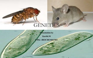 GENETICS
Presentation by
Karthi.M
I MSc -BIOCHEMISTRY
 