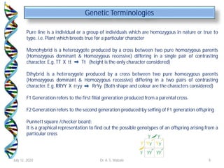 Pure Line Genetics Example Genetics | PDF