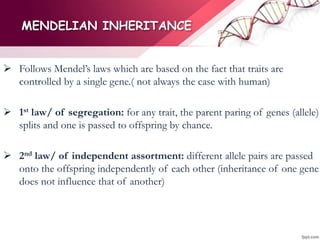 MENDELIAN INHERITANCE
 Follows Mendel’s laws which are based on the fact that traits are
controlled by a single gene.( not always the case with human)
 1st law/ of segregation: for any trait, the parent paring of genes (allele)
splits and one is passed to offspring by chance.
 2nd law/ of independent assortment: different allele pairs are passed
onto the offspring independently of each other (inheritance of one gene
does not influence that of another)
 