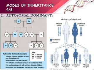 MODES OF INHERITANCE
4/8
2. AUTOSOMAL DOMINANT:
 