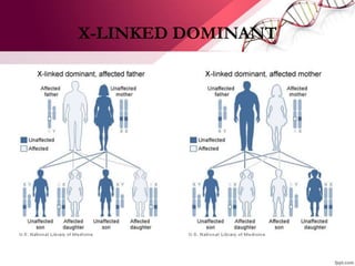 X-LINKED DOMINANT
 