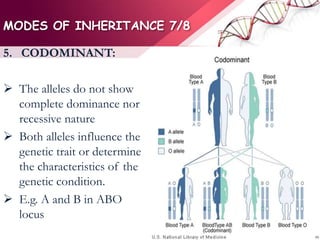 MODES OF INHERITANCE 7/8
5. CODOMINANT:
 The alleles do not show
complete dominance nor
recessive nature
 Both alleles influence the
genetic trait or determine
the characteristics of the
genetic condition.
 E.g. A and B in ABO
locus
 
