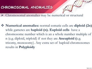CHROMOSOMAL ANOMALIES
 Chromosomal anomalies may be numerical or structural
 Numerical anomalies: normal somatic cells are diploid (2n)
while gametes are haploid (n). Euploid cells have a
chromosome number which is an a whole number multiple of
n (e.g. diploid, triploid) if not they are Aneuploid (e.g.
trisomy, monosomy). Any extra set of haploid chromosomes
results in Polyploidy
 