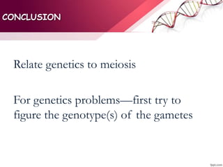 CONCLUSION
Relate genetics to meiosis
For genetics problems—first try to
figure the genotype(s) of the gametes
 