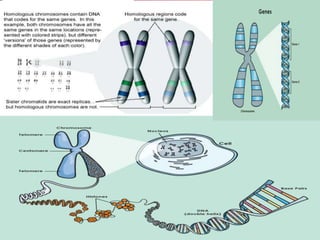 DEFINITION OF TERMS
2/4
 