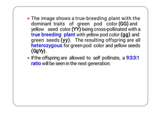 Genetics.pdf
