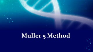 Muller 5 Method
 