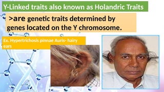 genetics.pptx..Life science..Science 9/Genetics | PPTX