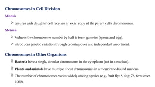 Introduction to Genetics including Chromosomes | PPTX