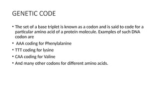 Valine Codoncode GENETICS POWERPONT NOTES PRESENTATION FORM 4 | PPTX