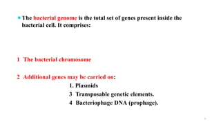 Comprehensive Overview of Bacterial Genetics: Genome, Bacteriophages ...
