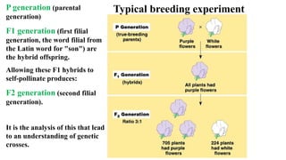 GENETICS-AND-HEREDITY: an overview to genetics | PPTX