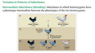GENETICS-AND-HEREDITY: an overview to genetics | PPTX