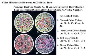GENETICS-AND-HEREDITY: an overview to genetics | PPTX
