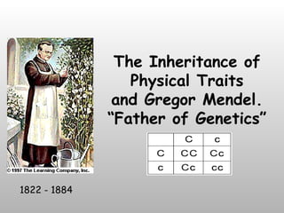 The Inheritance of Physical Traits and Gregor Mendel. “Father of Genetics” 1822 - 1884 