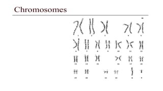 GENETICS-Basic principles, Transmission & risk conditiono-factors.drjma.pdf