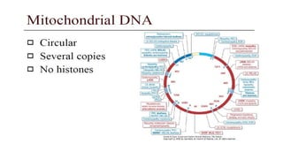 GENETICS-Basic principles, Transmission & risk conditiono-factors.drjma.pdf