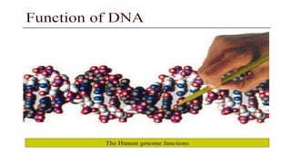 GENETICS-Basic principles, Transmission & risk conditiono-factors.drjma.pdf