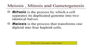 GENETICS-Basic principles, Transmission & risk conditiono-factors.drjma.pdf