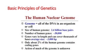 Basic Principles of Genetics