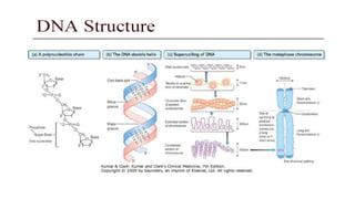 GENETICS-Basic principles, Transmission & risk conditiono-factors.drjma.pdf