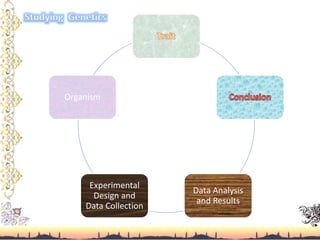 Data Analysis
and Results
Experimental
Design and
Data Collection
Organism
 