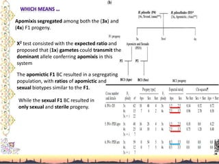 Apomixis segregated among both the (3x) and
(4x) F1 progeny.
Χ2 test consisted with the expected ratio and
proposed that (1x) gametes could transmit the
dominant allele conferring apomixis in this
system
The apomictic F1 BC resulted in a segregating
population, with ratios of apomictic and
sexual biotypes similar to the F1.
While the sexual F1 BC resulted in
only sexual and sterile progeny.
 
