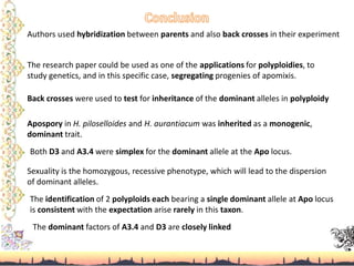 Authors used hybridization between parents and also back crosses in their experiment
The research paper could be used as one of the applications for polyploidies, to
study genetics, and in this specific case, segregating progenies of apomixis.
Back crosses were used to test for inheritance of the dominant alleles in polyploidy
Apospory in H. piloselloides and H. aurantiacum was inherited as a monogenic,
dominant trait.
Both D3 and A3.4 were simplex for the dominant allele at the Apo locus.
Sexuality is the homozygous, recessive phenotype, which will lead to the dispersion
of dominant alleles.
The identification of 2 polyploids each bearing a single dominant allele at Apo locus
is consistent with the expectation arise rarely in this taxon.
The dominant factors of A3.4 and D3 are closely linked
 