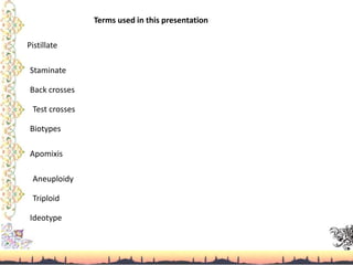 Terms used in this presentation
Pistillate
Staminate
Ideotype
Back crosses
Test crosses
Biotypes
Apomixis
Triploid
Aneuploidy
 