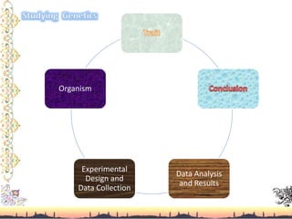 Data Analysis
and Results
Experimental
Design and
Data Collection
Organism
 