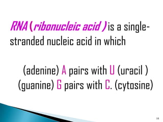 RNA (ribonucleic acid ) is a single-
stranded nucleic acid in which

   (adenine) A pairs with U (uracil )
  (guanine) G pairs with C. (cytosine)

                                         16
 