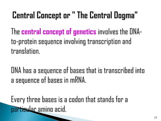 Central Concept or " The Central Dogma"
The central concept of genetics involves the DNA-
to-protein sequence involving transcription and
translation.

DNA has a sequence of bases that is transcribed into
a sequence of bases in mRNA.

Every three bases is a codon that stands for a
particular amino acid.
                                                       23
 