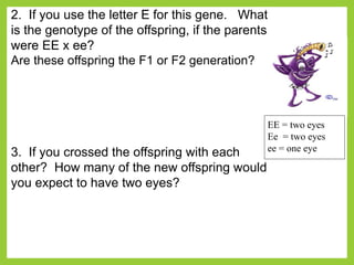 2. If you use the letter E for this gene. What
is the genotype of the offspring, if the parents
were EE x ee?
Are these offspring the F1 or F2 generation?
3. If you crossed the offspring with each
other? How many of the new offspring would
you expect to have two eyes?
EE = two eyes
Ee = two eyes
ee = one eye
 