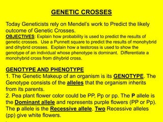 GENETIC CROSSES
Today Geneticists rely on Mendel’s work to Predict the likely
outcome of Genetic Crosses.
OBJECTIVES: Explain how probability is used to predict the results of
genetic crosses. Use a Punnett square to predict the results of monohybrid
and dihybrid crosses. Explain how a testcross is used to show the
genotype of an individual whose phenotype is dominant. Differentiate a
monohybrid cross from dihybrid cross.

GENOTYPE AND PHENOTYPE
1. The Genetic Makeup of an organism is its GENOTYPE. The
Genotype consists of the alleles that the organism inherits
from its parents.
2. Pea plant flower color could be PP, Pp or pp. The P allele is
the Dominant allele and represents purple flowers (PP or Pp).
The p allele is the Recessive allele. Two Recessive alleles
(pp) give white flowers.
 