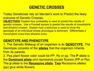 GENETIC CROSSES   Today Geneticists rely on Mendel’s work to Predict the likely outcome of Genetic Crosses.  OBJECTIVES : Explain how probability is used to predict the results of genetic crosses.  Use a Punnett square to predict the results of monohybrid and dihybrid crosses.  Explain how a testcross is used to show the genotype of an individual whose phenotype is dominant.  Differentiate a monohybrid cross from dihybrid cross.  GENOTYPE AND PHENOTYPE   1. The Genetic Makeup of an organism is its  GENOTYPE . The Genotype consists of the  alleles  that the organism inherits from its parents.  2. Pea plant flower color could be PP, Pp or pp. The  P  allele is the  Dominant allele  and represents purple flowers (PP or Pp). The  p  allele is the  Recessive allele .  Two  Recessive alleles (pp) give white flowers.  .  