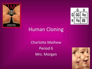 Human Cloning Charlotte Mathew Period 6 Mrs. Morgan 