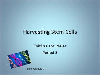 Harvesting Stem Cells Caitlin Capri Neier Period 3 Stem Cell DNA 