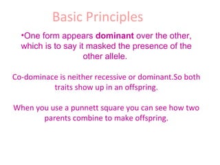 One form appears  dominant  over the other, which is to say it masked the presence of the other allele.  Co-dominace is neither recessive or dominant.So both traits show up in an offspring. When you use a punnett square you can see how two parents combine to make offspring. Basic Principles  